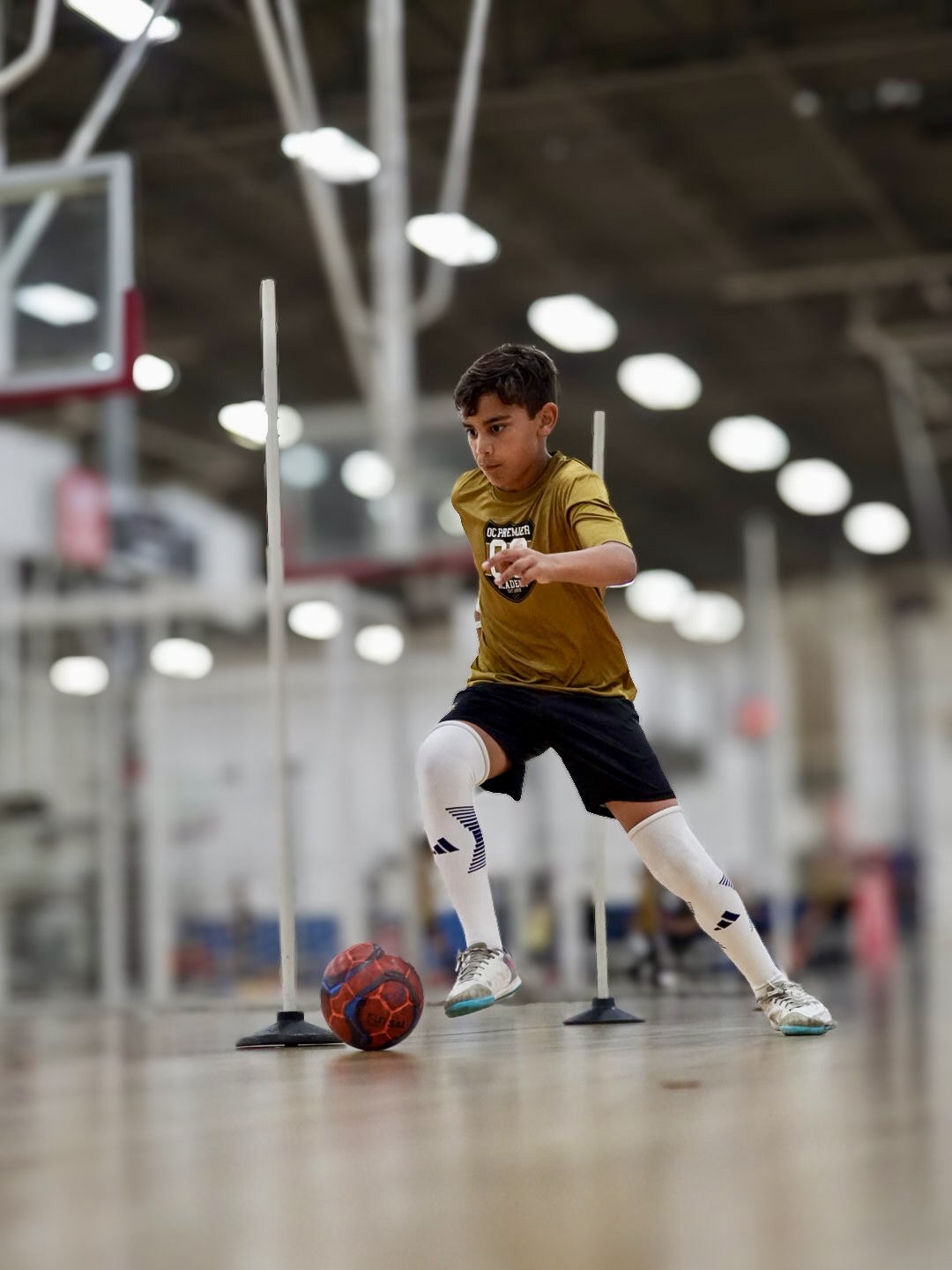 OC Premier Academy
