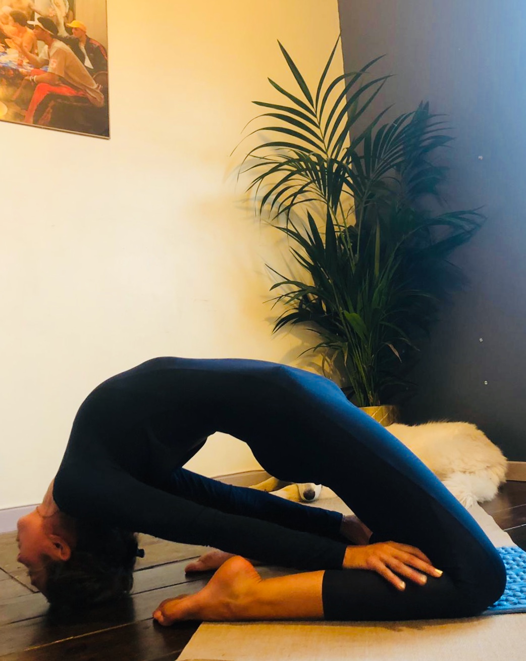 OM'yoga - Photo 3