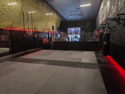 One Mat Jiu Jitsu Brésilien & Grappling Toulouse - Photo principale