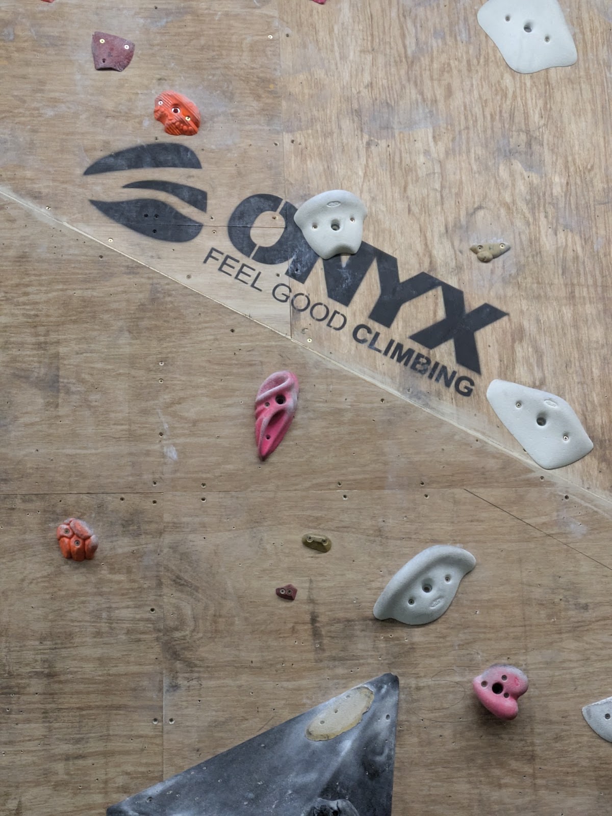 Onyx Climbing Wall - Photo 3