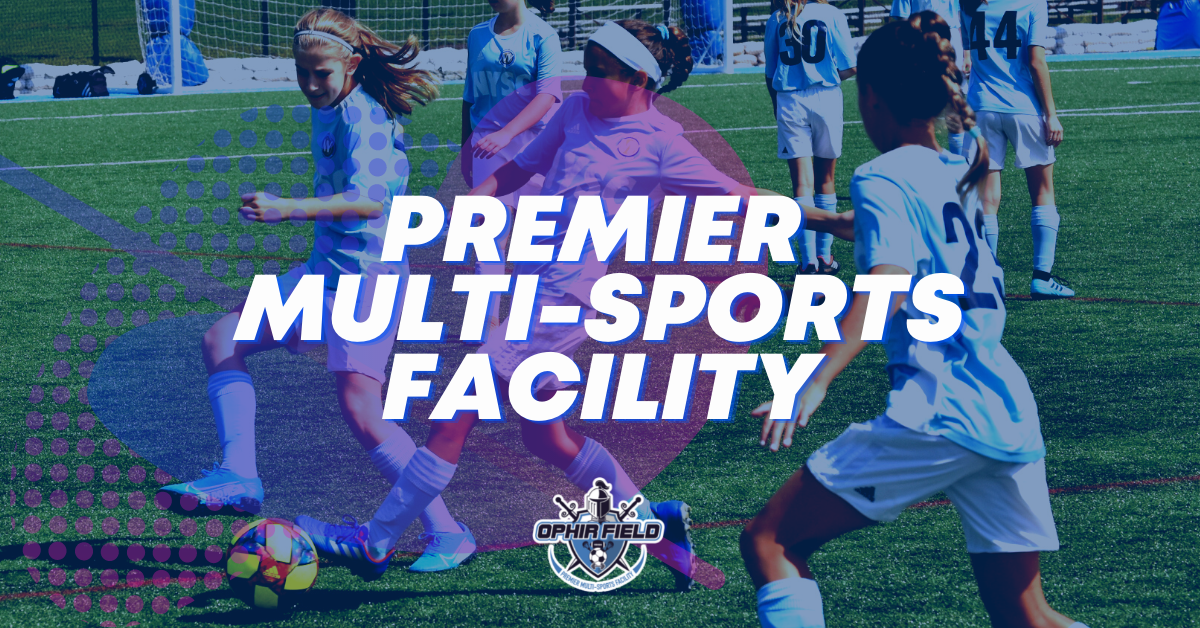 Ophir Field - Premier Multi-Sports Facility - Photo 1