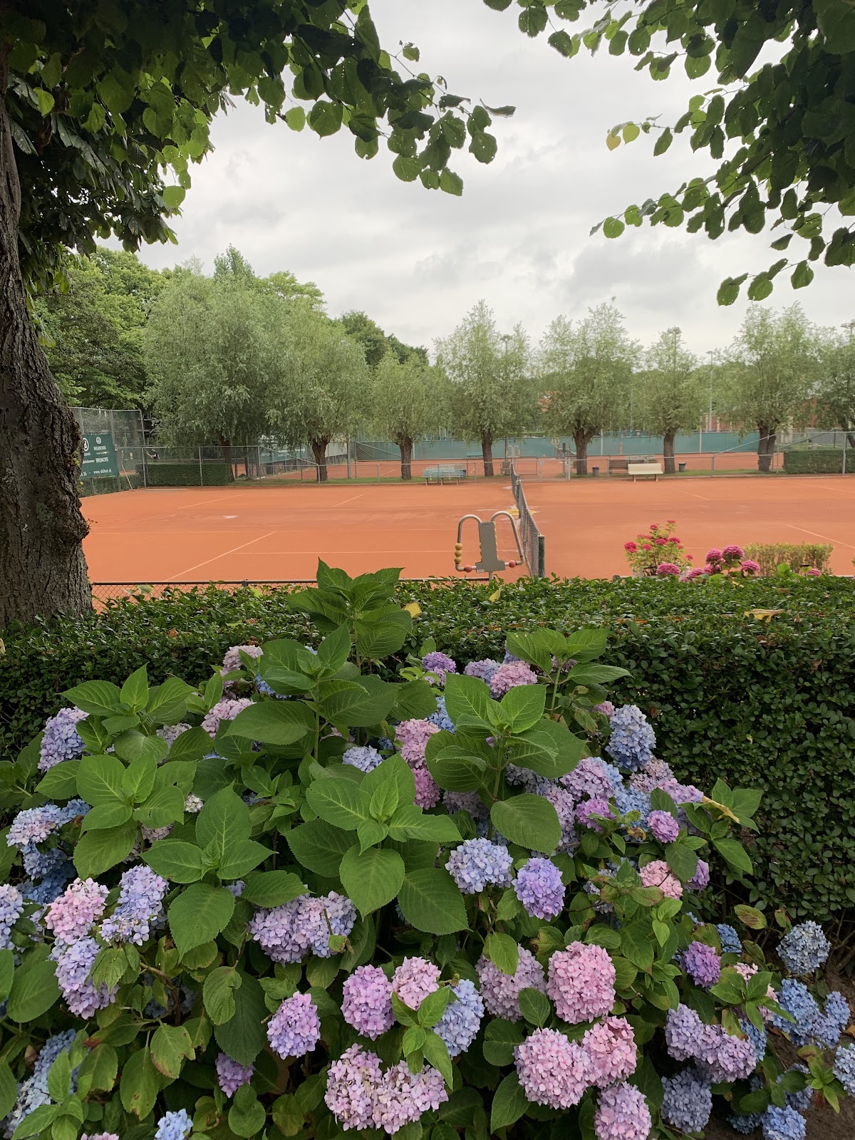 Orange Tennis Club - Photo 3