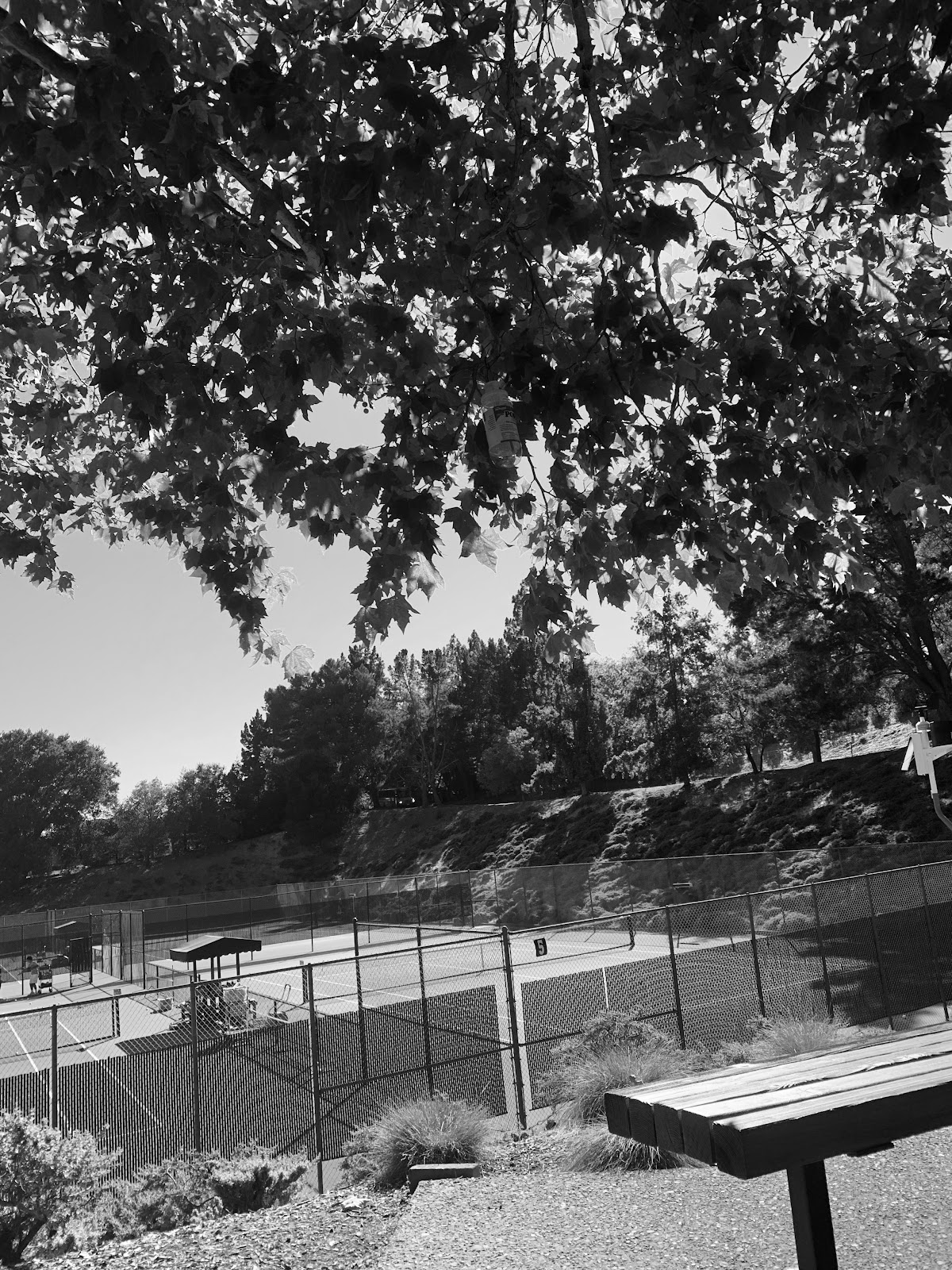 Orindawoods Tennis Club - Photo 2