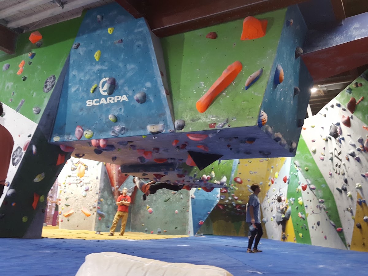 Outdoor Climbing Wall - Photo 2