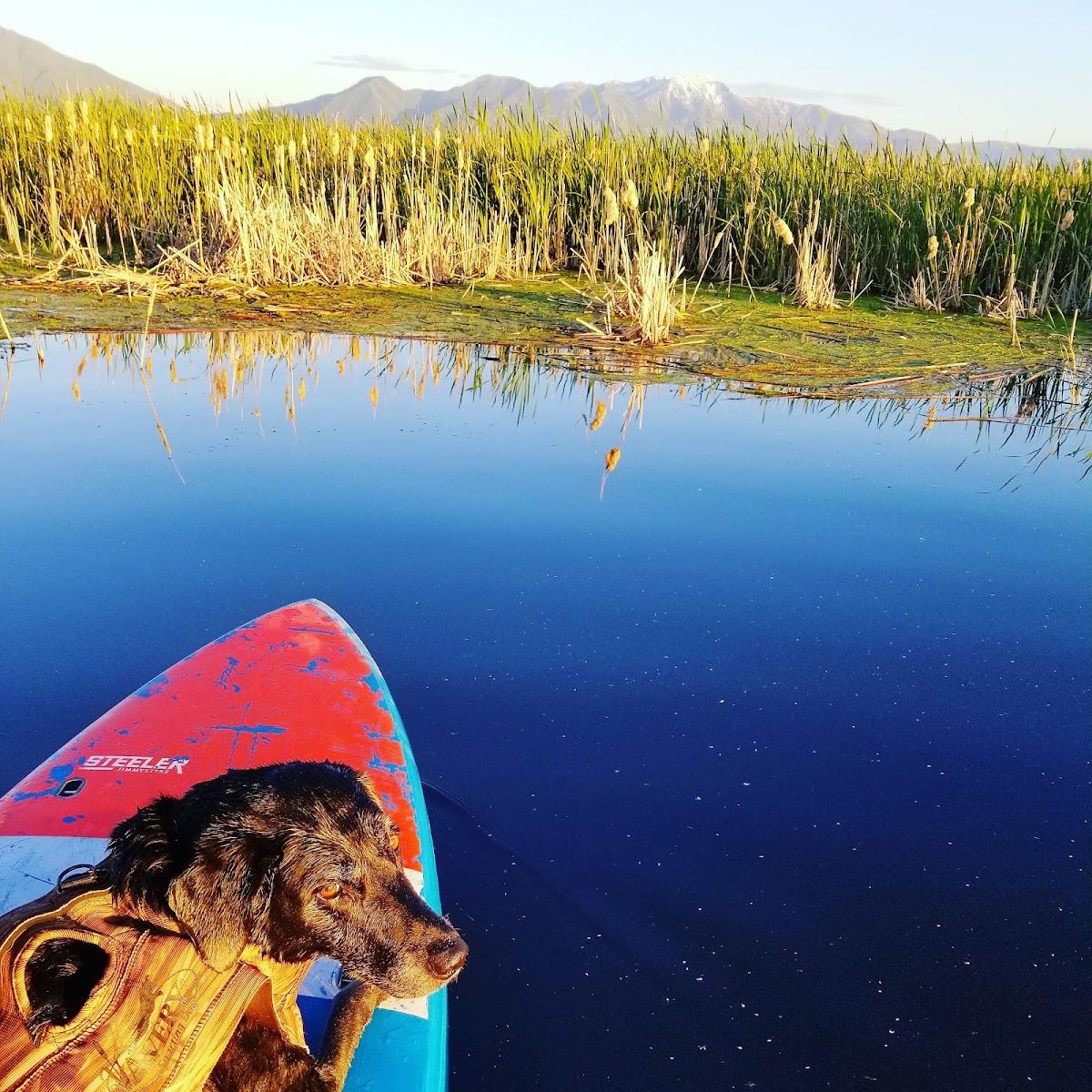 Paddle Board (SUP), Kayak, & Canoe Rentals Utah - Photo 2
