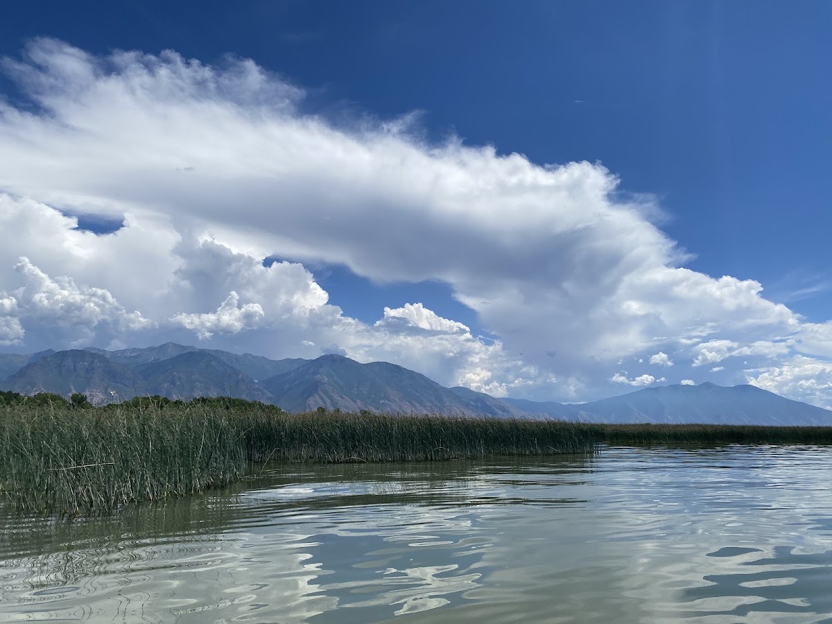 Paddle Board (SUP), Kayak, & Canoe Rentals Utah - Photo 3