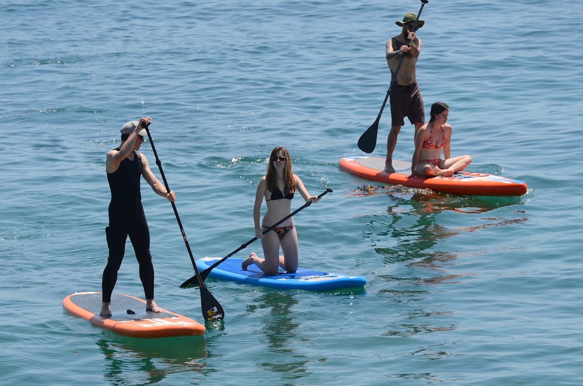 Paddle Method - Photo 1
