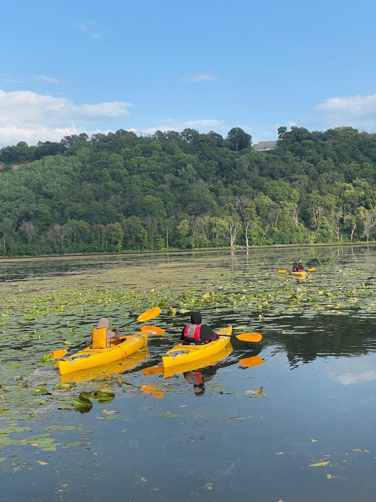 Paddle Share Station - Photo 1