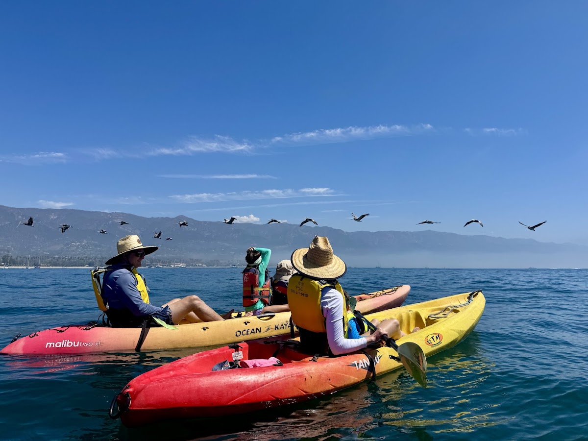 Paddle Sports Center - Photo 2