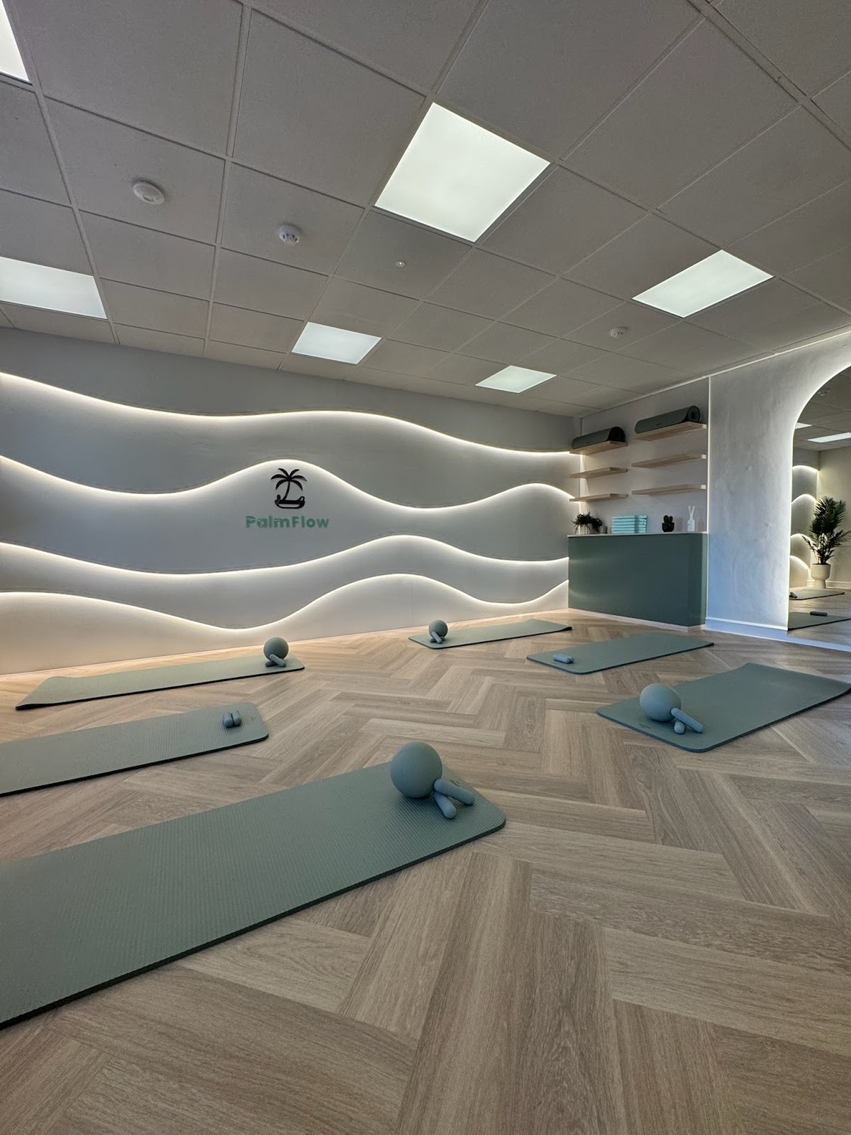 Palm Flow Pilates Studio - Photo 3
