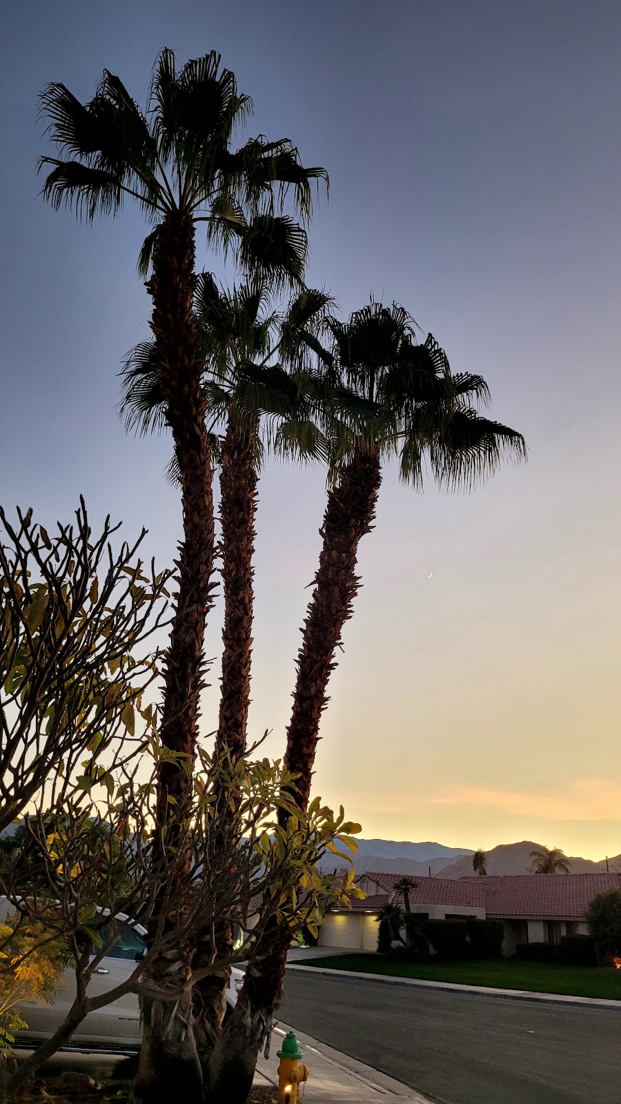 Palm Springs Golf and Tennis - Photo 2