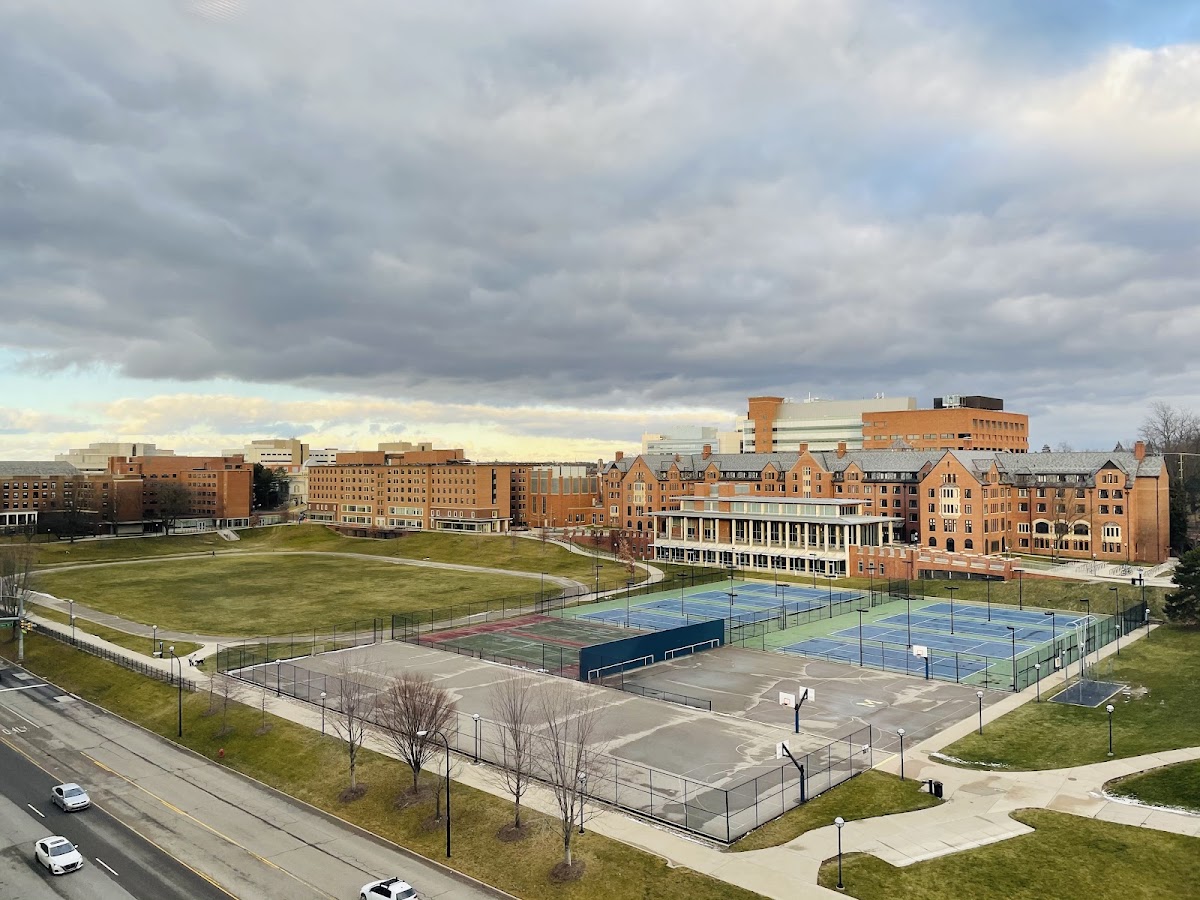 Palmer Field - Photo 1