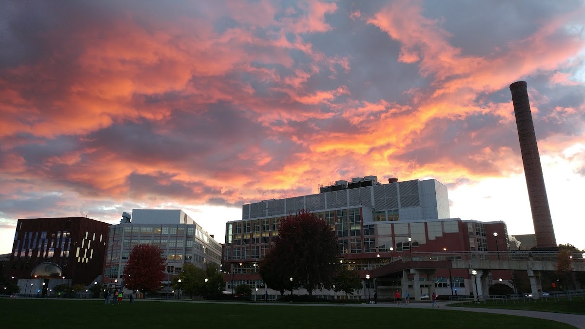 Palmer Field - Photo 2