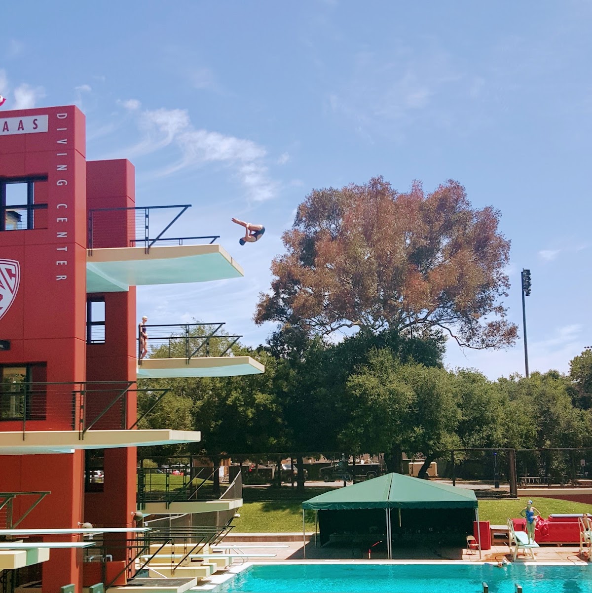 Palo Alto Stanford Aquatics - Photo 3