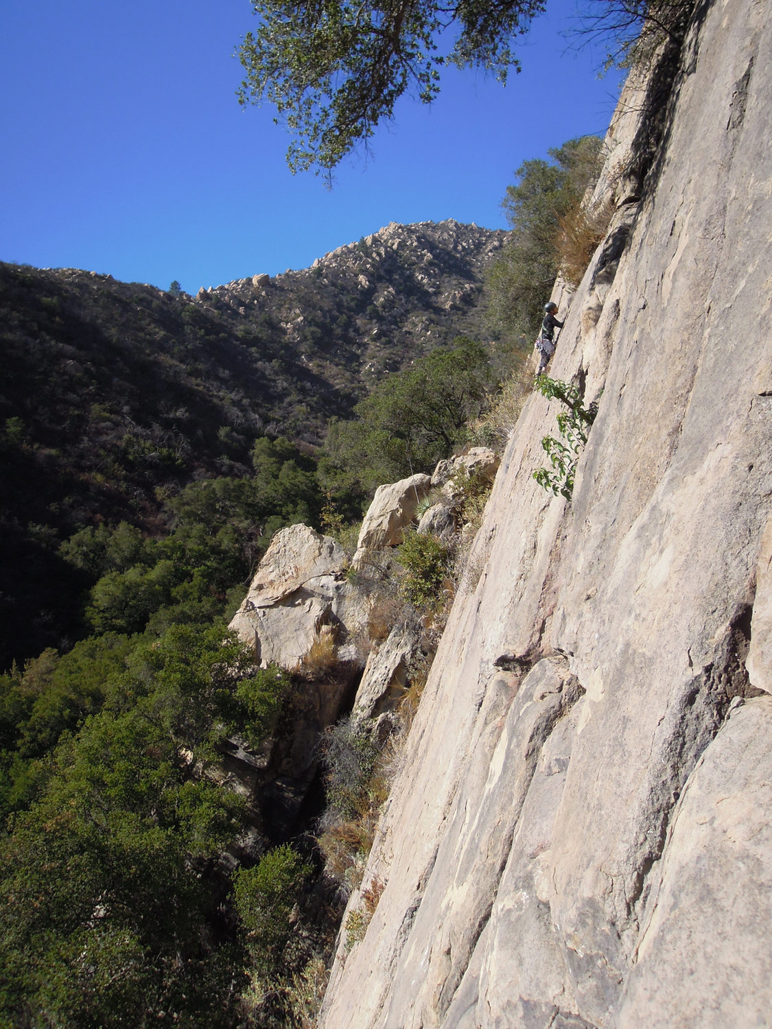 Panic Town Wall - Photo 1
