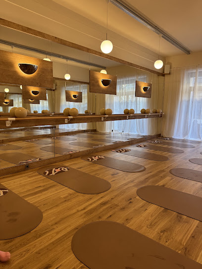 Paradisio Barre Club - Photo principale