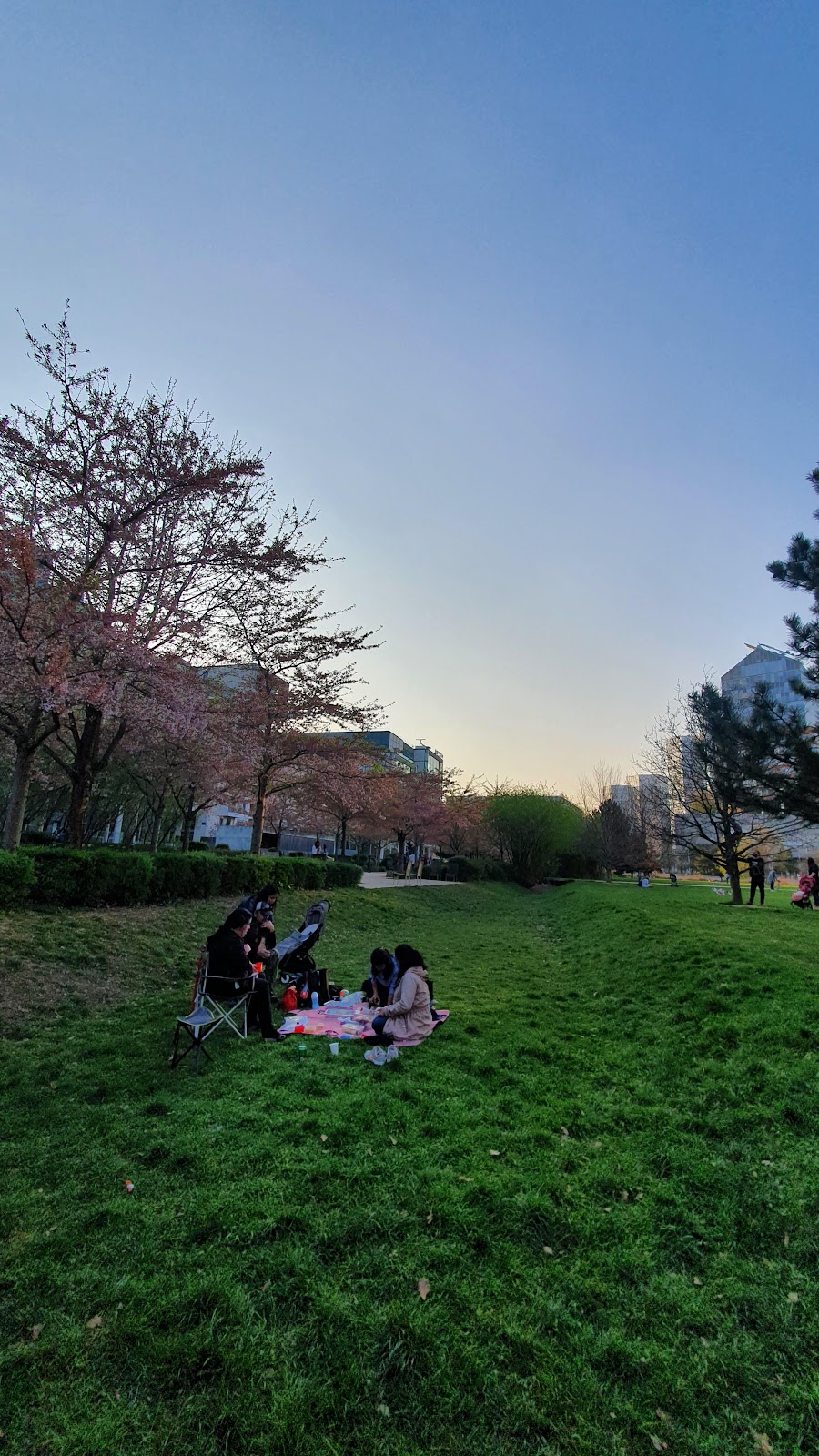 Parc de Billancourt - Photo 3