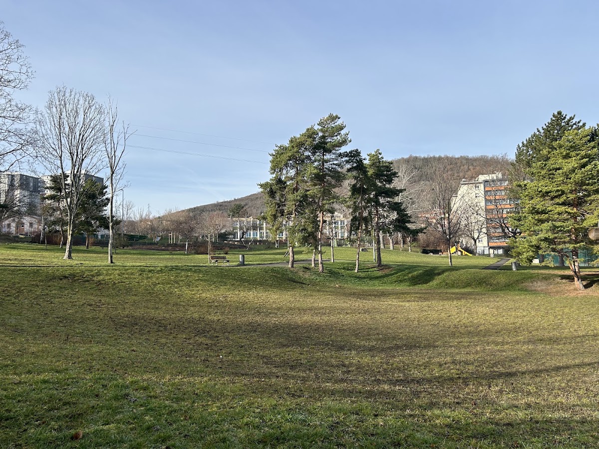 Parc de la Fraternité - Photo 2