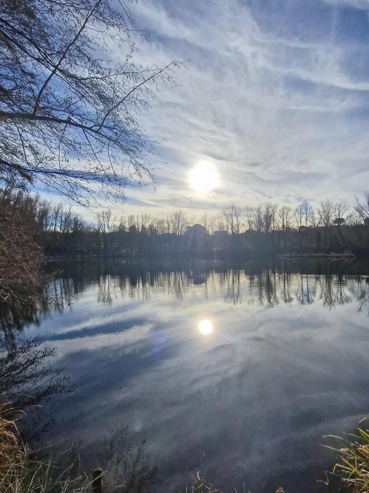 Parc de Pratgraussals - Photo 2