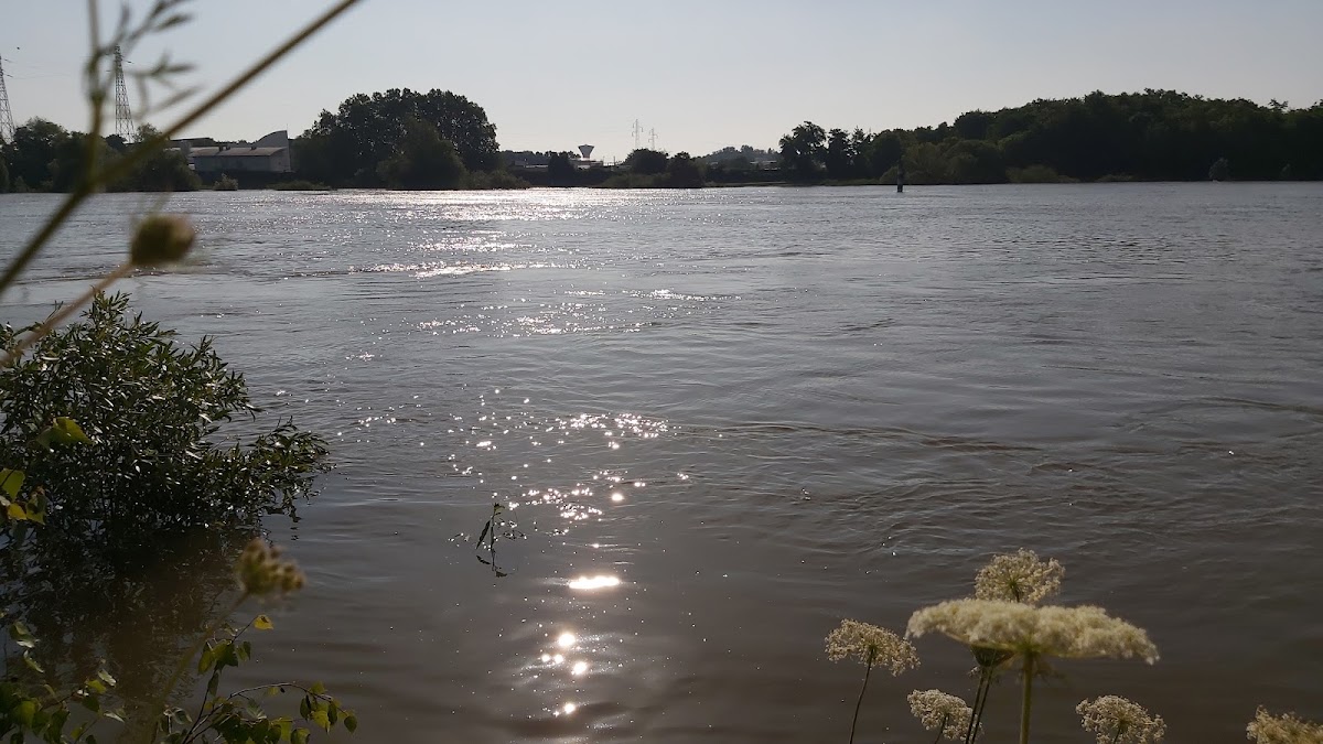Parc Écologique et Sportif Eugène Freyssinet - Le Grand Chalon - Photo 3