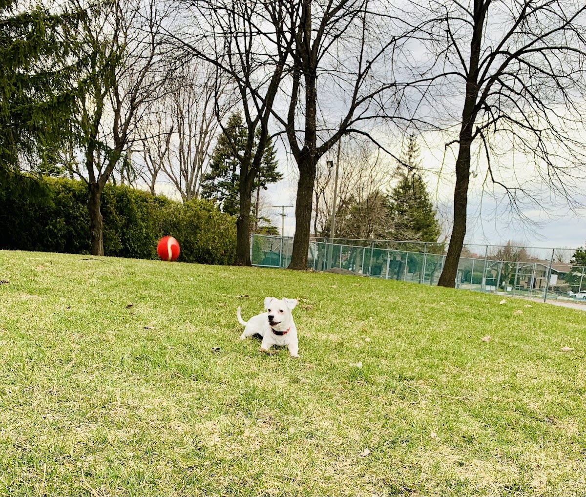 Parc Louis-Durocher - Photo 2