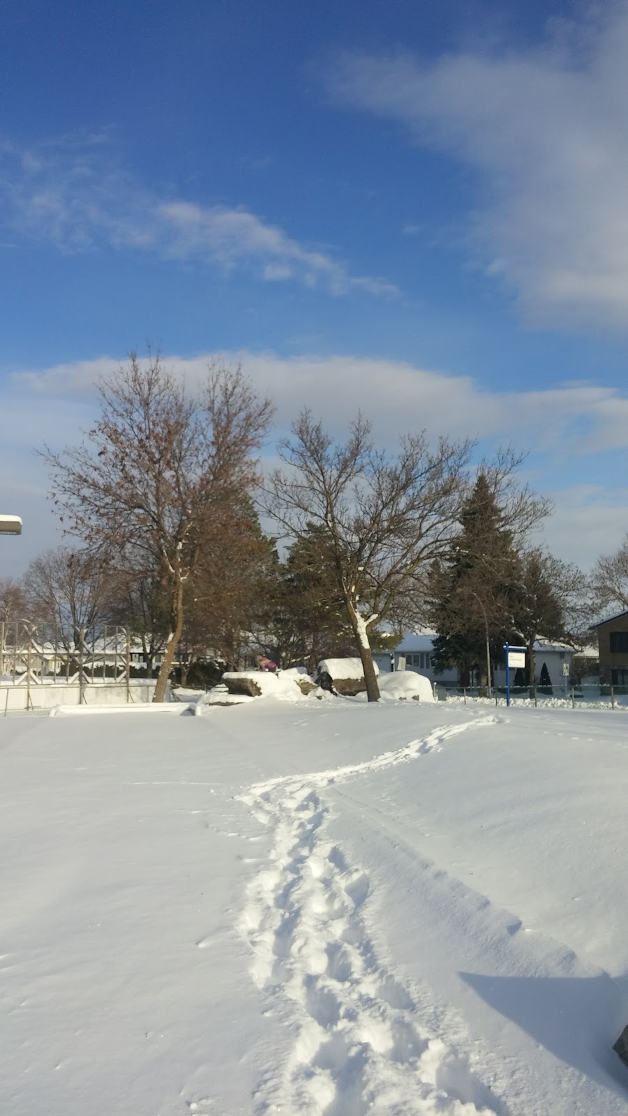 Parc Louis-Durocher - Photo 3