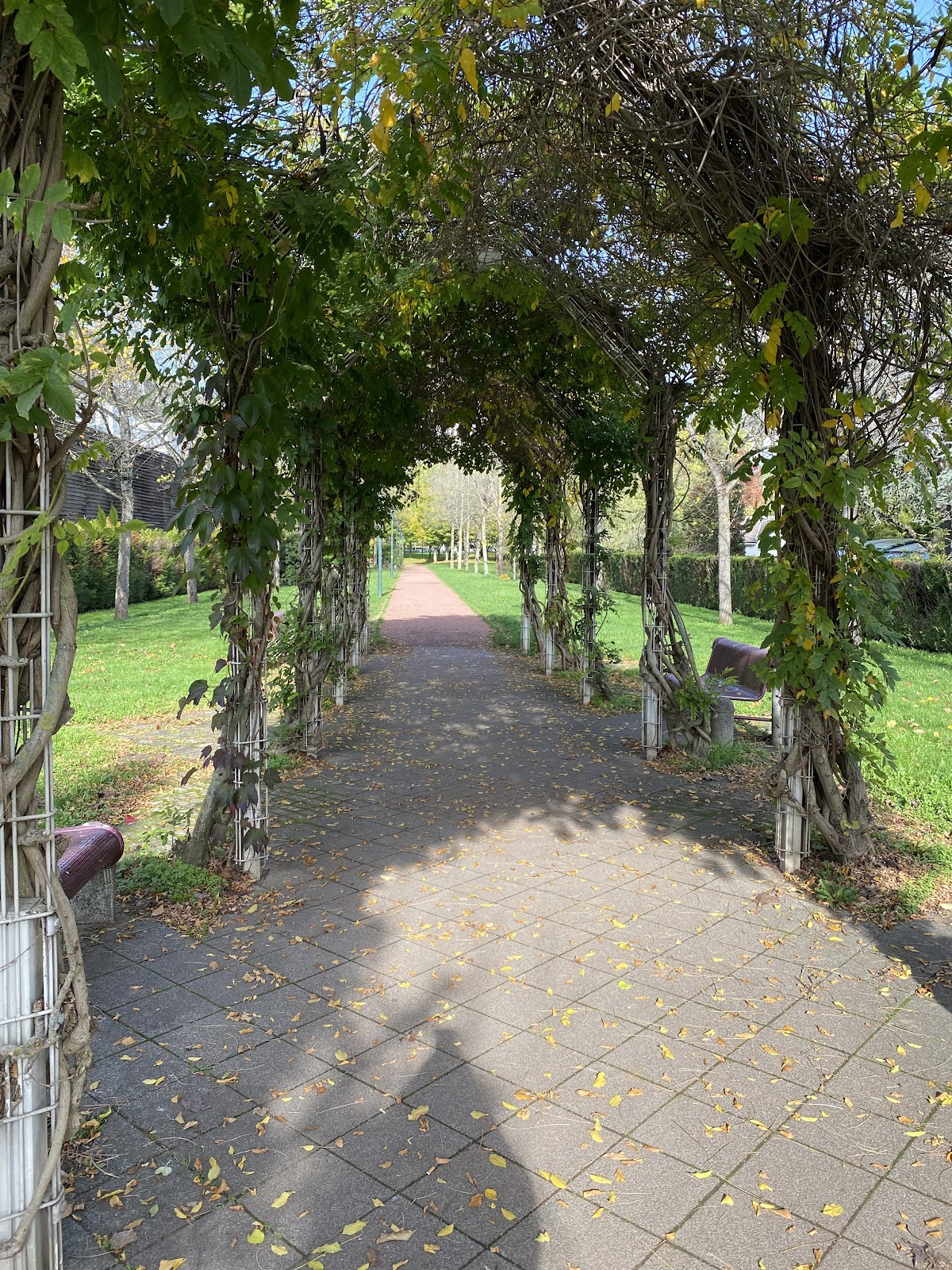 Parc Nelson Mandela - Photo 3