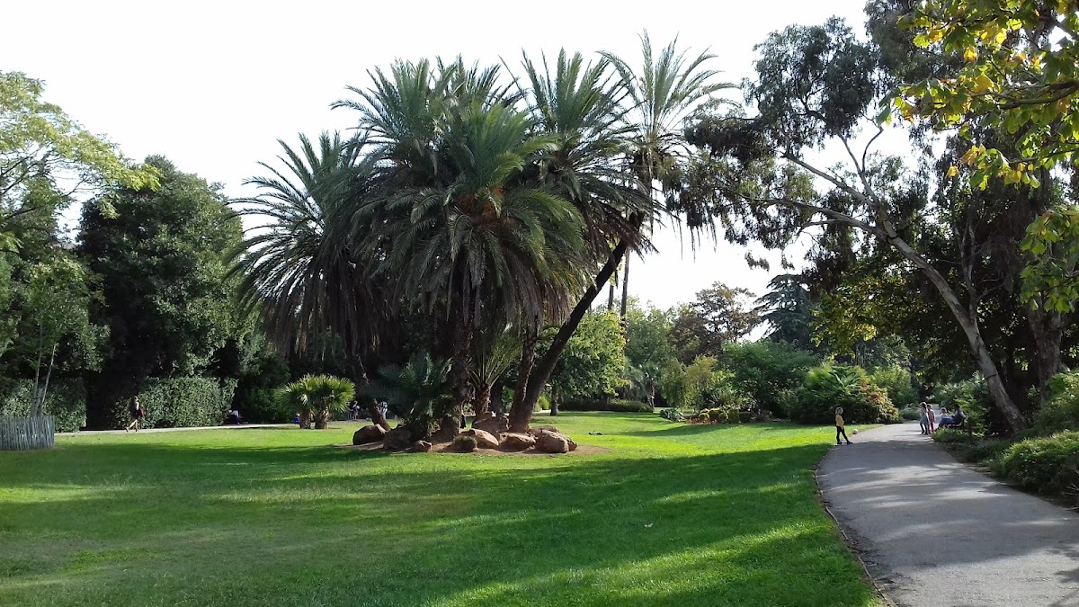 Parc Olbius Riquier - Photo 3