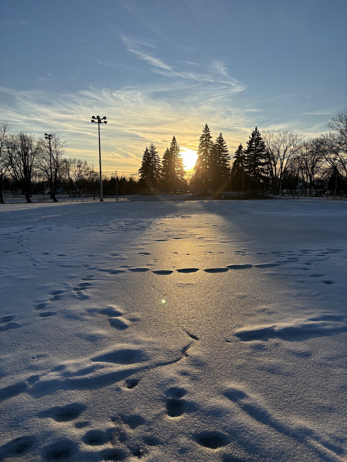 Parc Saint-Martin - Photo 3
