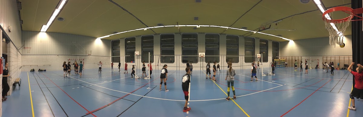 Paris Volley Club - Photo 2