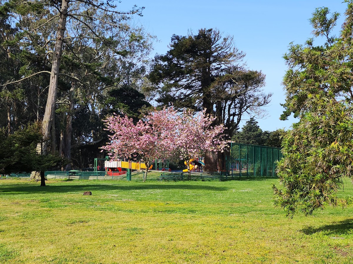 Parkside Square Park - Photo 3