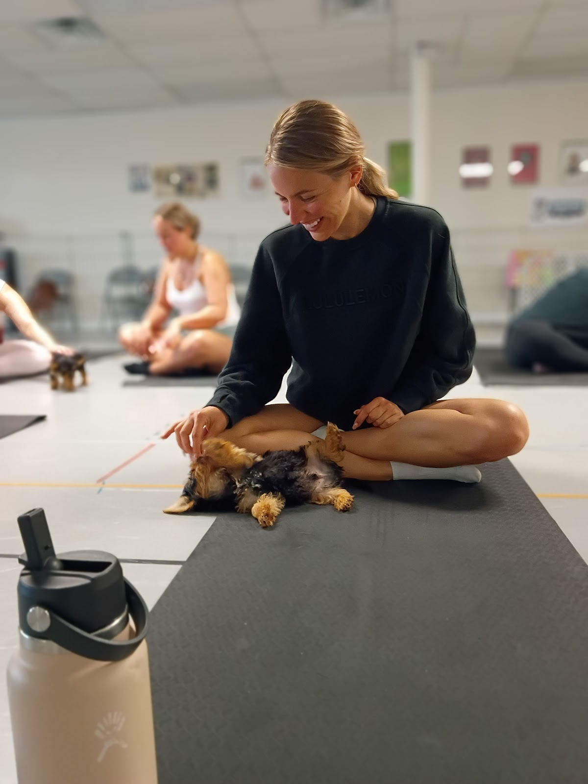 Paws and Pilates LLC - Photo 3