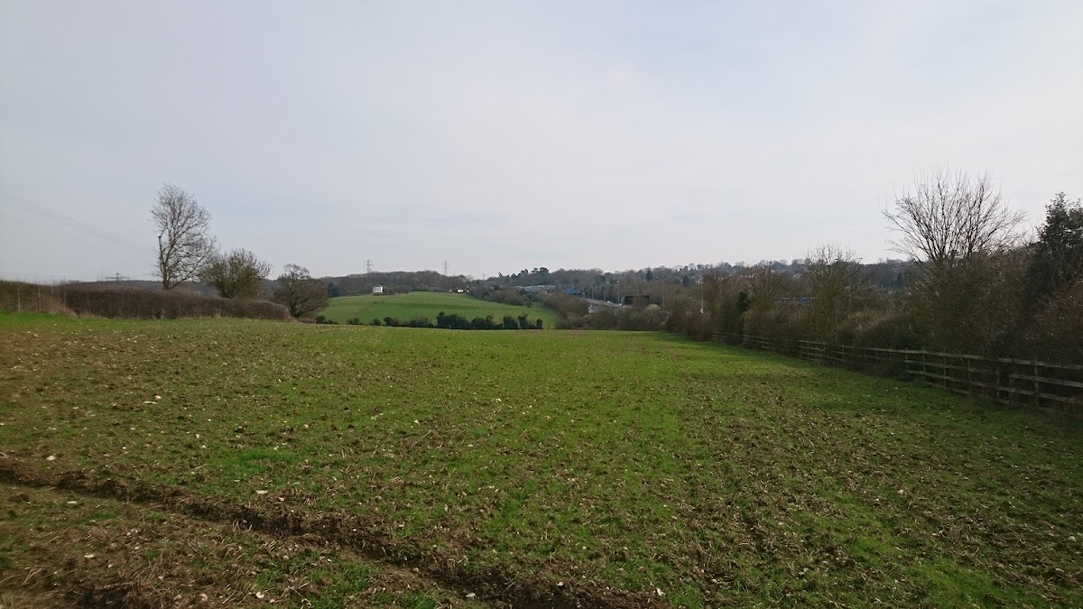 Penenden Heath - Photo 3