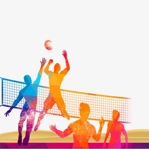 PERIGUEUX VOLLEY BALL - Photo principale
