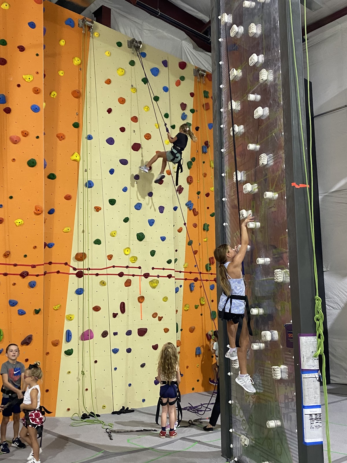 Philadelphia Rock Gyms - Malvern - Photo 2