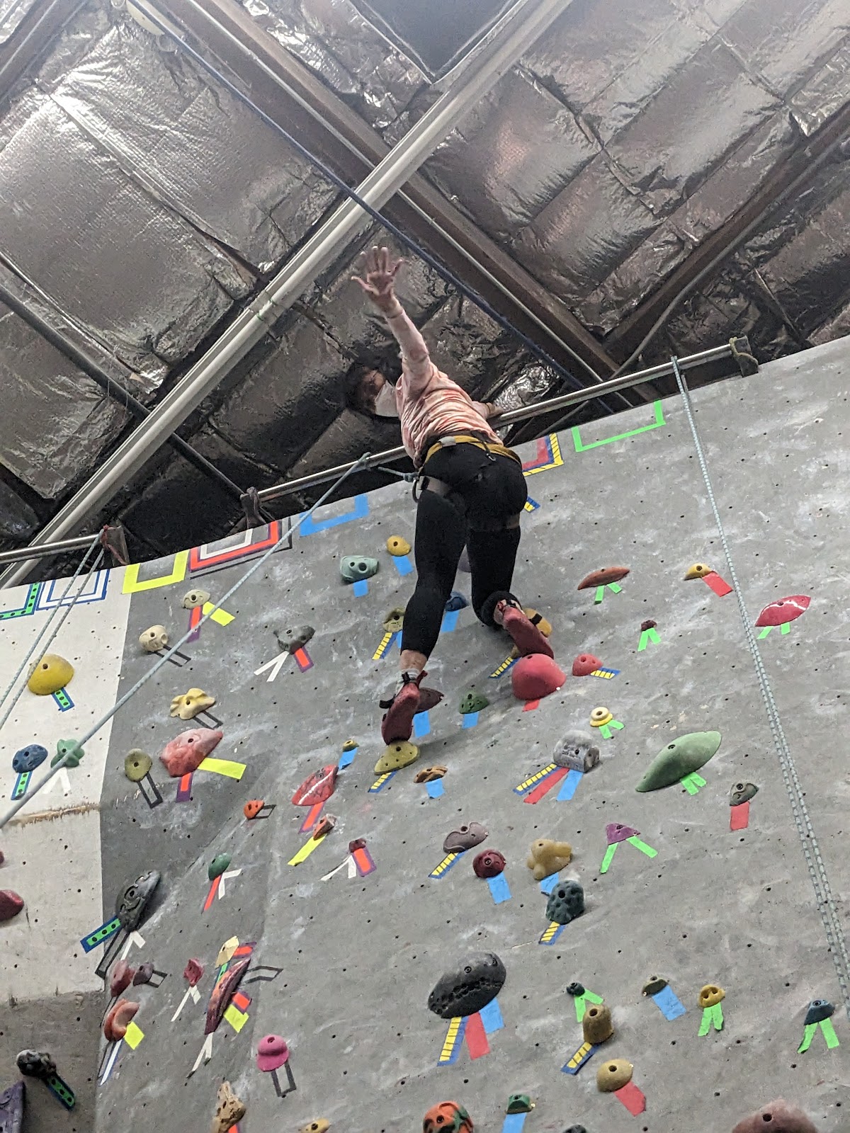 Phoenix Rock Gym - Photo 2