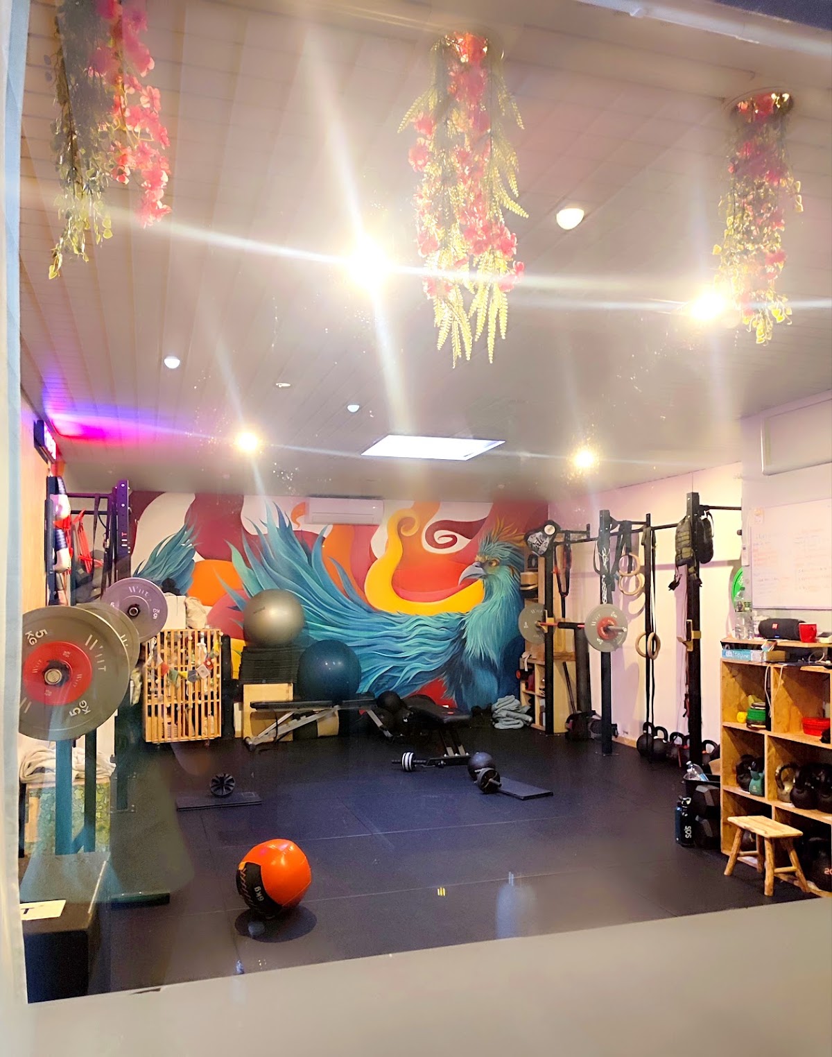 Phoenix Zone