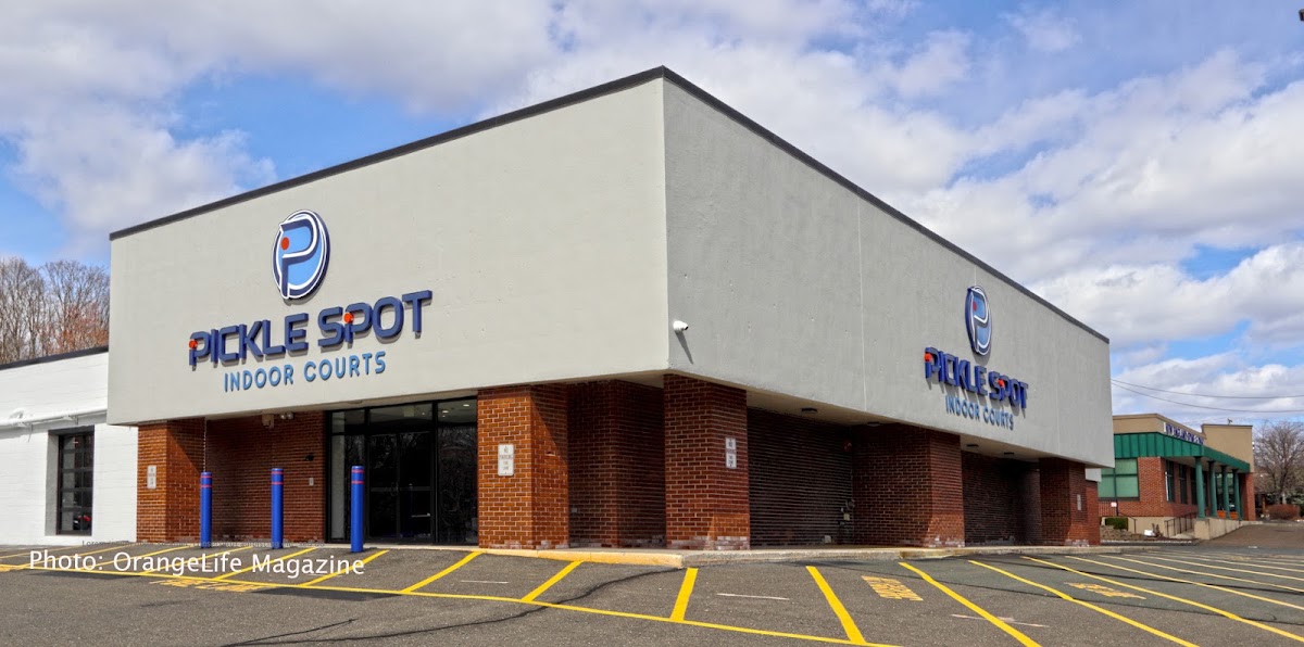 Pickle SPOT Indoor Courts - Photo 1