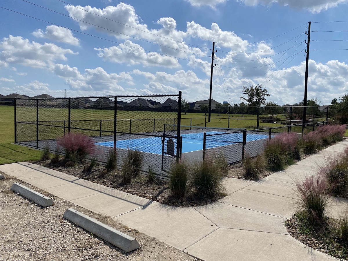Pickleball Court at Cane Island Paperback Park - Photo 3