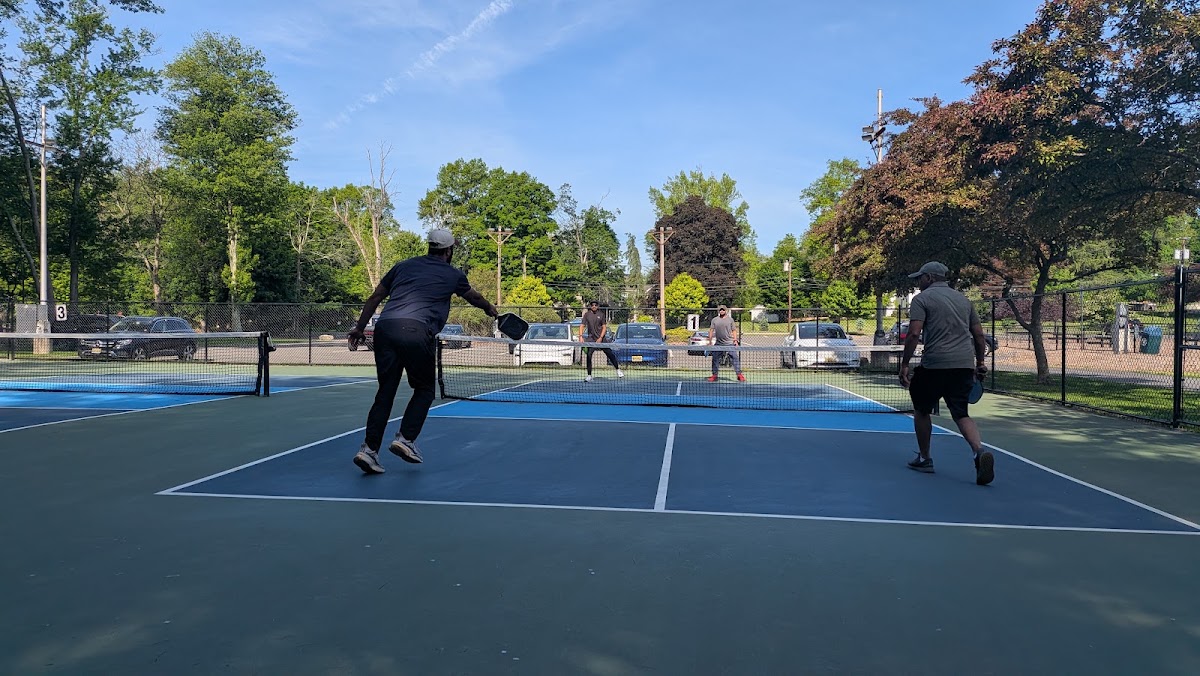 Pickleball Court - Photo 2