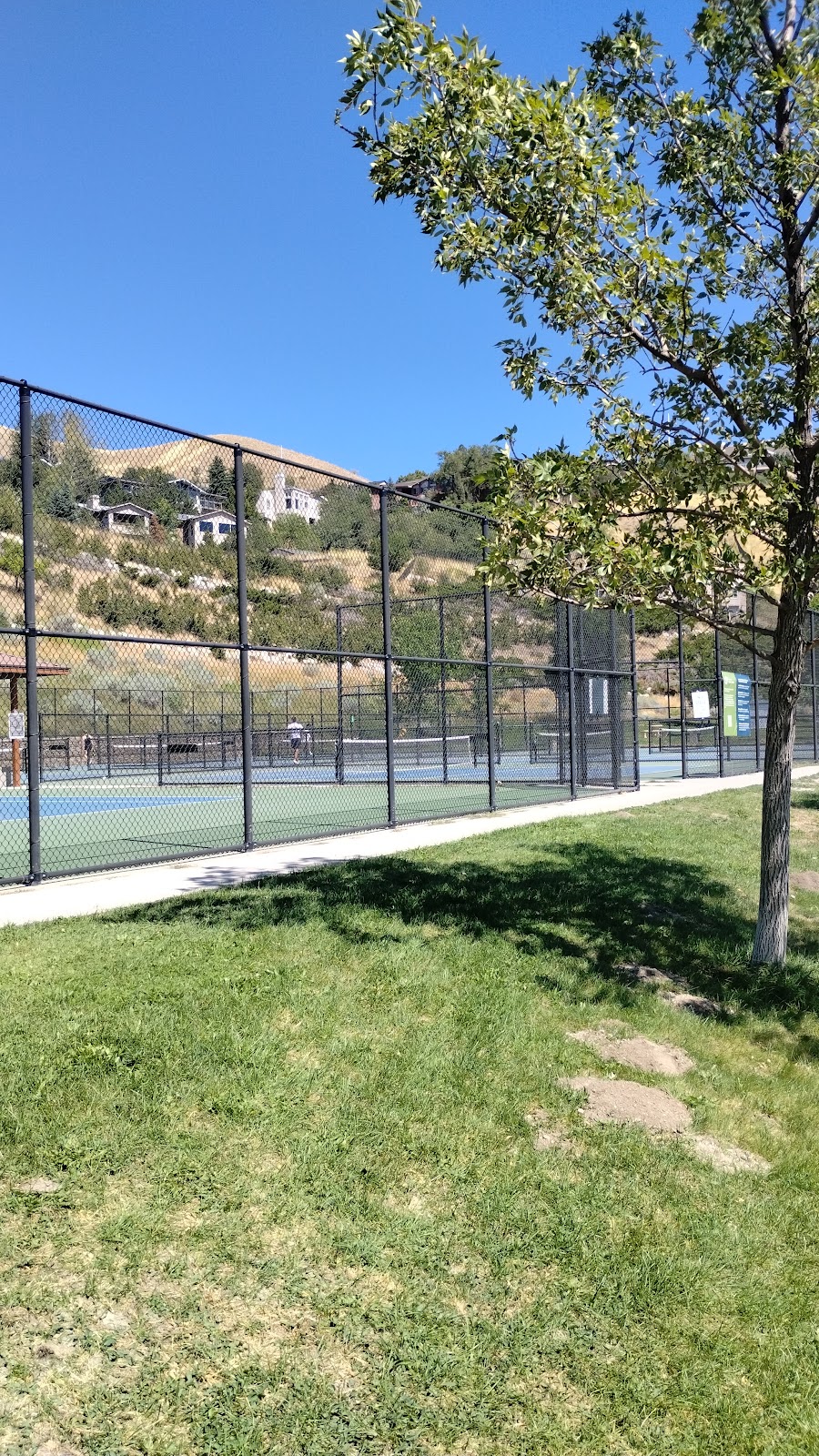 Pickleball Courts at 11th Avenue Park - Photo 3