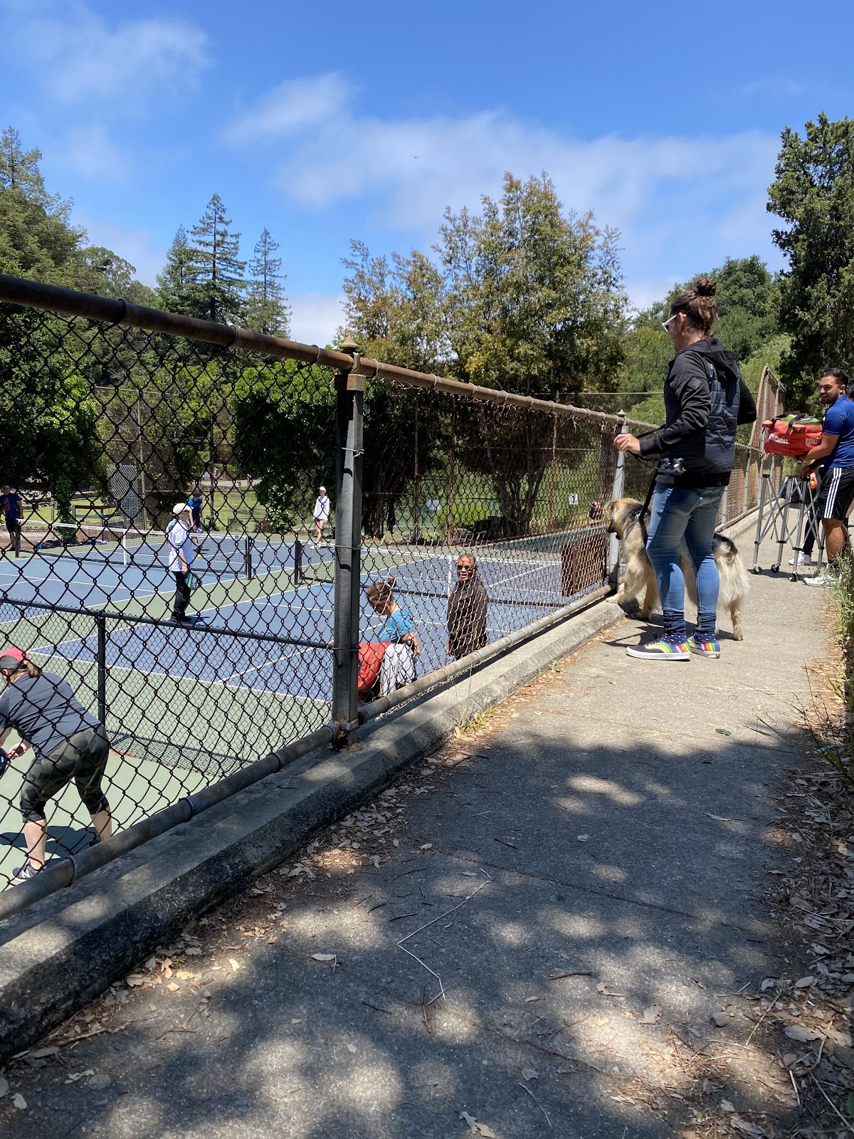 Pickleball Courts | Montclair Park - Photo 3
