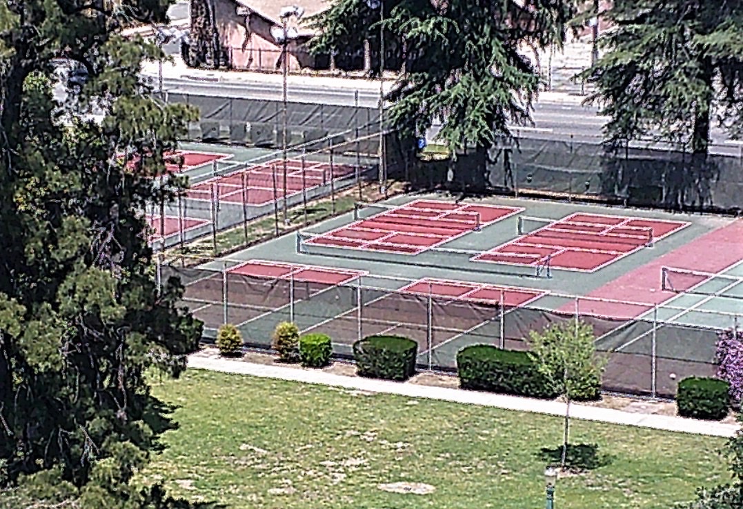 Pickleball Courts - Photo 3