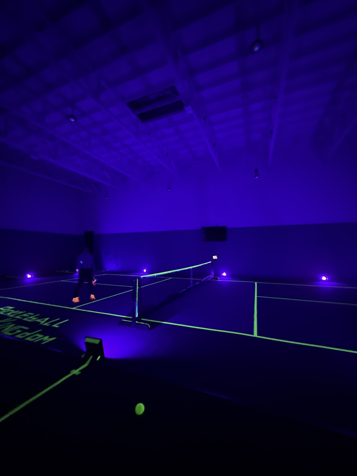 Pickleball Kingdom Tigard - Photo 3