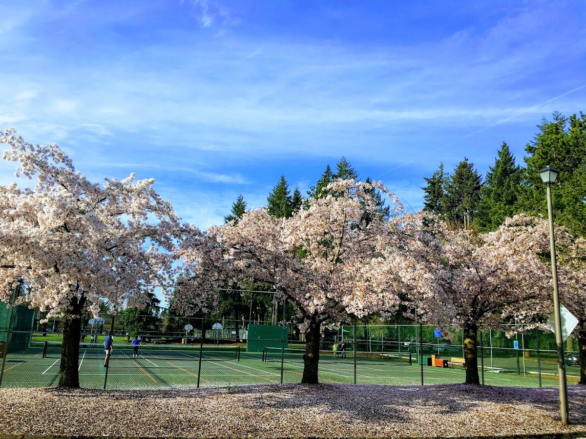 Pickleball - Tennis Courts | Tualatin Community Park - Photo 3