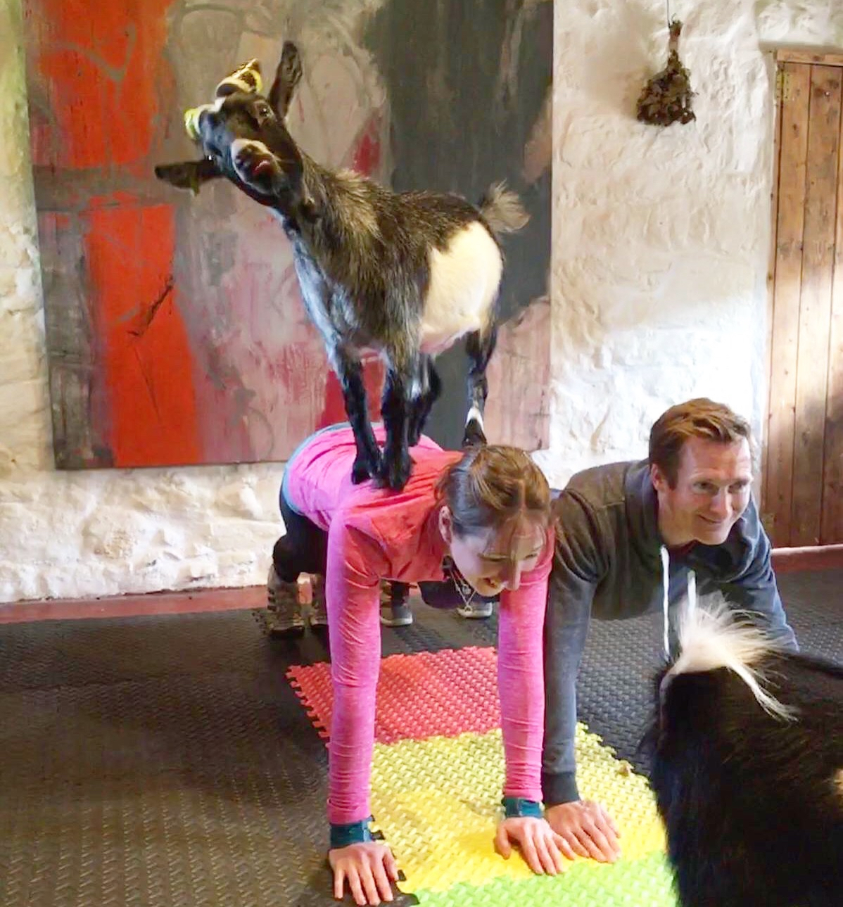 Pilates Attic - Photo 3