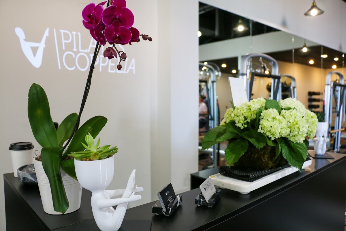 Pilates Coppelia Kern Place - Photo 2