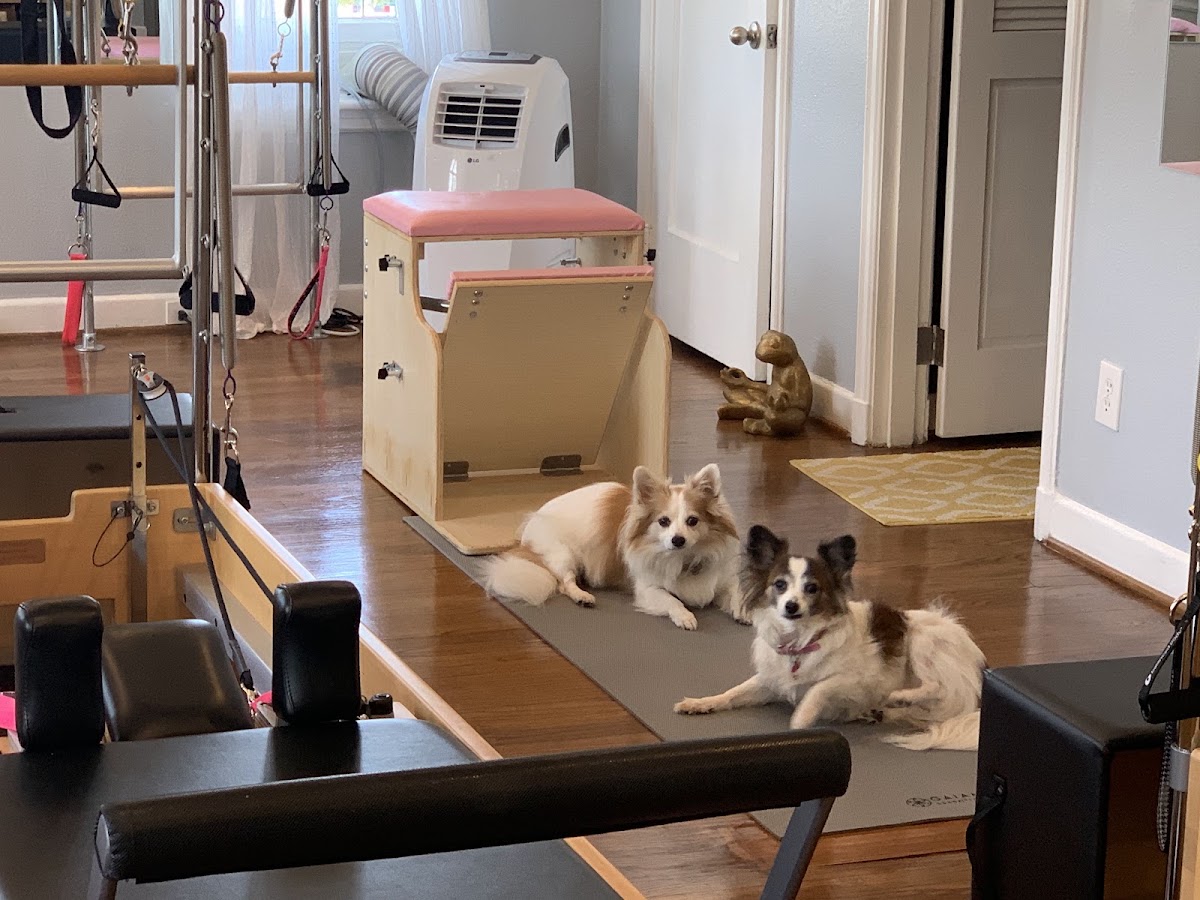 Pilates Studio Of Dallas - Photo 2