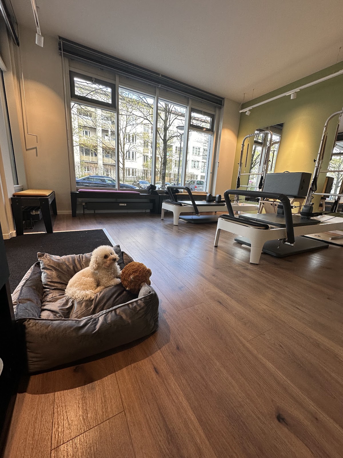 Pilatesbee: Reformer Pilates & more - Photo 3