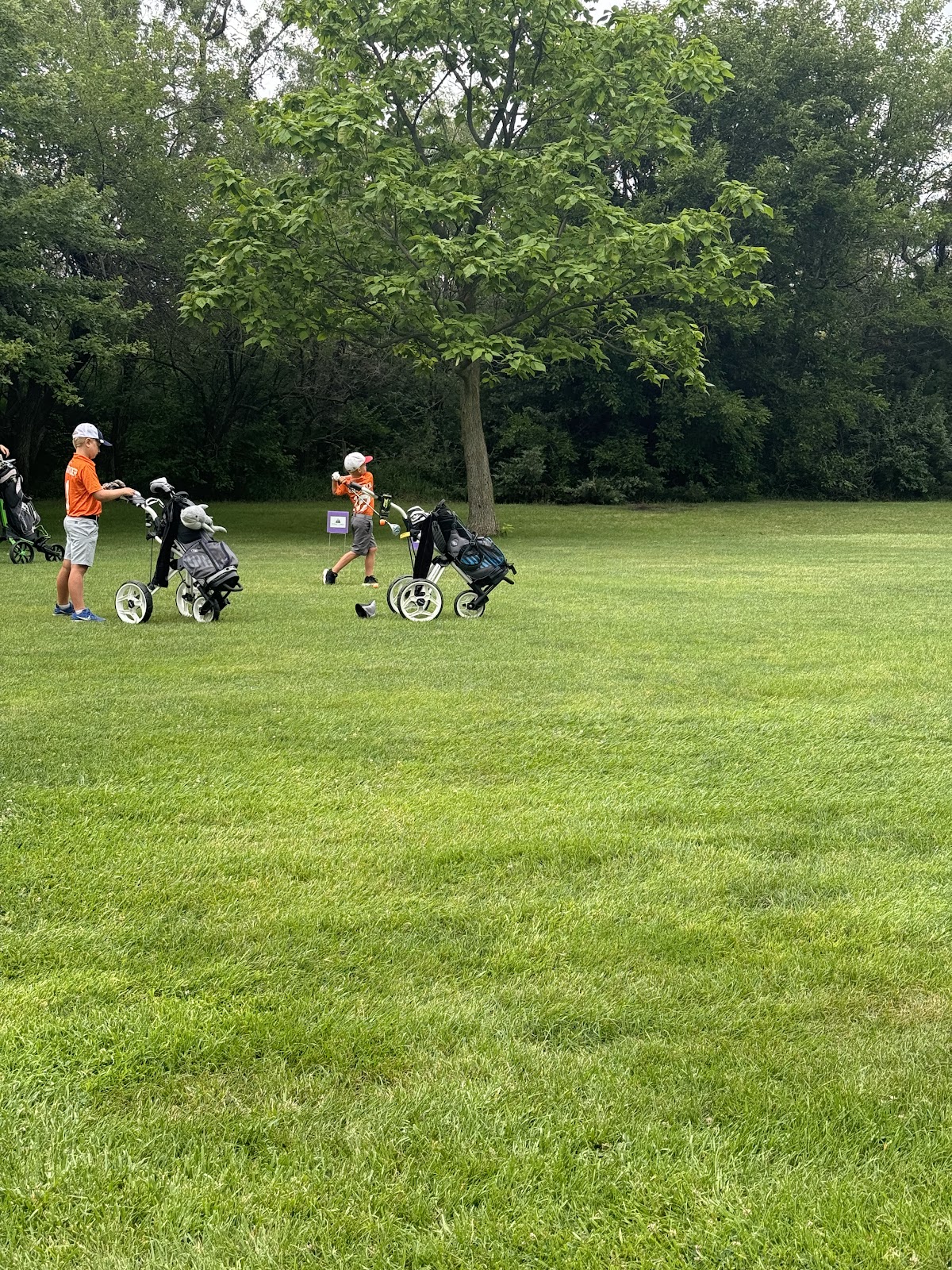 Pine Lake Golf & Tennis - Photo 3